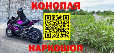 крисы Нальчик