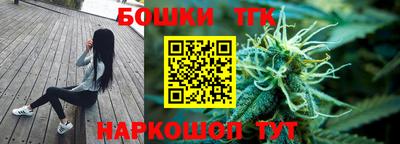 крисы Нальчик